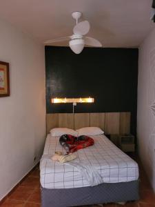 Gallery image of Pousada das Artes 2 in Mongaguá