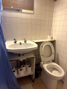 ein Badezimmer mit Toilette und Waschbecken in der Unterkunft Studio vue cathédrale St-Bénigne Dijon in Dijon