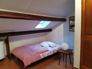 a bedroom with a bed and a skylight at Le gîte de Latour Haute in Sainte-Énimie