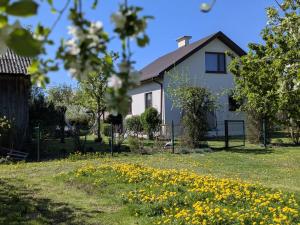 a white house with yellow flowers in the yard at Domek na wsi. in Kazimierz Dolny