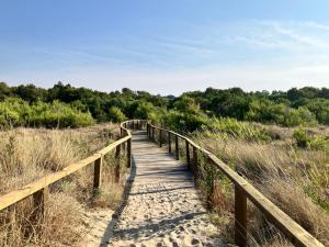 een houten promenade door een veld met bomen bij B&B La Palma in Petacciato