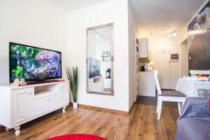 Televízia a/alebo spoločenská miestnosť v ubytovaní Dolina Resort Zakopane
