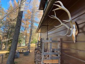a barn with antlers on the side of it at Almhütte Steirische Botschaft in Aflenz Kurort +6 photos