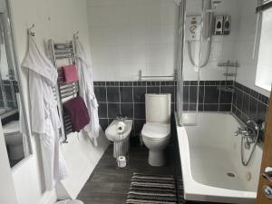a bathroom with a toilet and a tub and a sink at Camaraderie Guest House in York