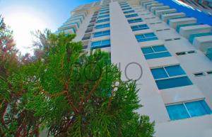 a tall white building with a tree in front of it at Apartamentos Neos - Cerca al Mar by SOHO in Santa Marta +36 photos