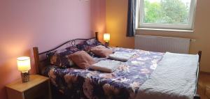 sypialnia z łóżkiem z poduszkami i oknem w obiekcie Apartament SYLVIA Self Check-In Netflix w mieście Rzeszów