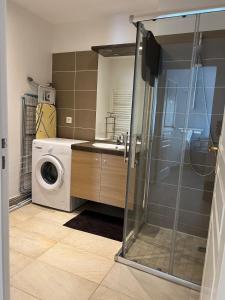 a bathroom with a washing machine and a washer at Résidence 3 bord du lac logement T3 piscine spa in Aix-les-Bains