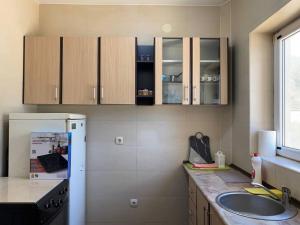 Kuchyň nebo kuchyňský kout v ubytování Apart hotel St.Pijerre