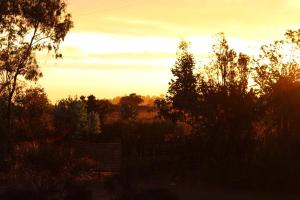 Fotografie z fotogalerie ubytování Countryside Cabin in Algarrobo v destinaci San Antonio