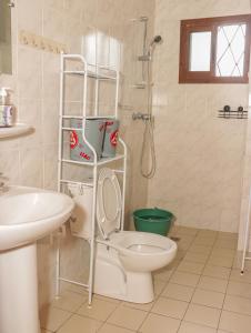 Un baño con inodoro, lavabo y ducha. en MAXIM HOUSE, Denver, 24h sur 24 Internet, Electricité, Eau, Canal Sat, Parking Privé, Sécurité,Gardien, en Douala