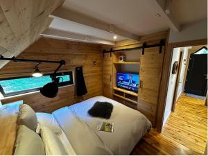 a living room with a couch and a tv at Le 36 Chalet 6 pers Le Mont-Dore Sauna Ski Hiking in Mont-Dore