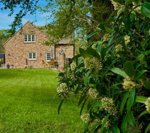 Zahrada ubytování Flurry's Lodge