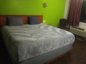 リビングストンにある2 Double Beds Hotel Studio 212の緑の壁と大きなベッドのある寝室 +4枚の写真