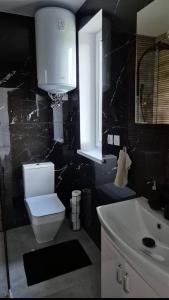 a bathroom with a toilet and a sink and a window at Mazurski Zakątek Orzyny in Orzyny +11 photos