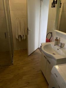a bathroom with a sink and a mirror at Tina in Tekija +25 photos