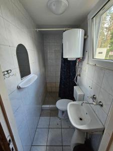 a bathroom with a sink and a toilet at Domek letniskowy nr 11 - jezioro Głębokie in Międzyrzecz