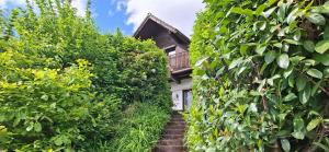 una scala che porta a una casa attraverso i cespugli cresciuti di Odenwald Lounge im Naturpark Bergstraße-Odenwald a Reichelsheim