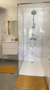 a bathroom with a glass shower with a sink at Appartement moderne à Remire-Montjoly avec balcon, 60 m² in Rémire-Camp