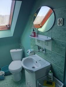 a bathroom with a toilet and a sink and a mirror at POKOJE GOŚCINNE SURFINIA in Gdańsk +20 photos