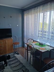 Μια τηλεόραση ή/και κέντρο ψυχαγωγίας στο POKOJE GOŚCINNE SURFINIA
