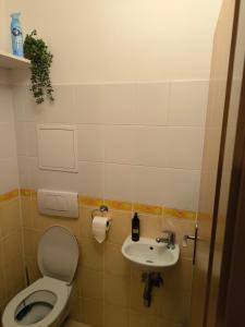 Ένα μπάνιο στο Hills View Apartment +29 φωτογραφίες