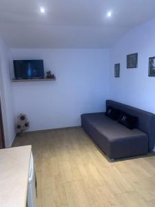 a living room with a blue couch and a tv at Pachnący Jaśmin in Zwierzyniec +11 photos