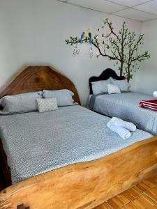 two beds sitting next to each other in a bedroom at 1961 Los Naranjos Hostal in Los Naranjos
