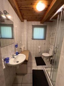 un baño con lavabo e inodoro en Domek w lesie, en Radogoszcz 17 fotos más