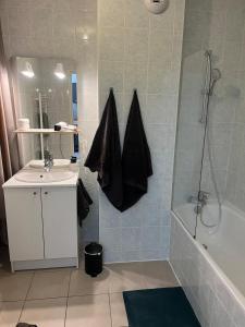 a bathroom with a sink and a shower and a mirror at Le Lorain cozy avec terrasse in Épinal
