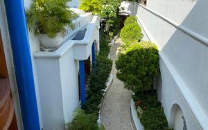 O grădină în afara Azul Hotel Boutique +76 fotografii