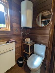 a small bathroom with a toilet and a mirror at Tinyhouse Sabrina in Papenburg
