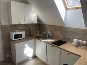 a kitchen with a sink and a microwave at Palanga Cozy Studio in Palanga