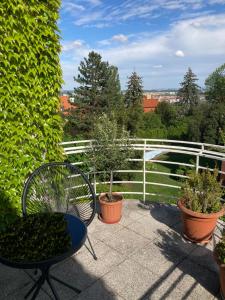 プラハにあるApartment Hanspaulkaのパティオ(椅子、鉢植えの植物、フェンス付)