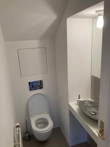 プラハにあるApartment Hanspaulkaのトイレと洗面台を備えた白いバスルーム +6枚の写真
