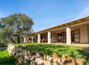 Κήπος έξω από το Villa S'Olioni