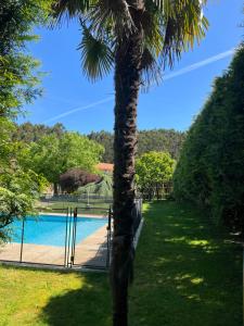 a palm tree next to a swimming pool at Casa de Agrelos Country House in Penafiel
