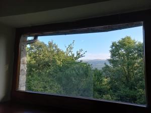 a window in a room with a view of trees at Casale Madreterra in Colli sul Velino
