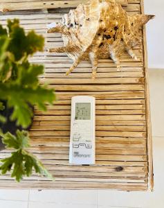 Billede fra billedgalleriet på Boutique sea lodge i Nuweiba`