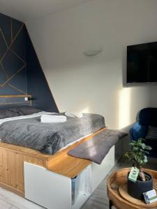 Superbe studio cosy et atypique 3 étoiles的电视和/或娱乐中心
