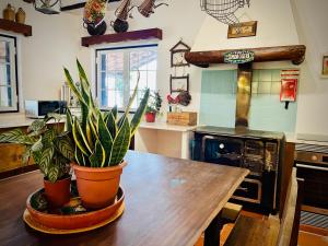 a kitchen with a wooden table with plants on it at The Oak Tree Farm - Open Plan Layout by Portus Alacer in Rabaços