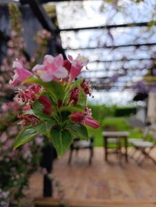 Billede fra billedgalleriet på OPG Rose Hip Hill ekološko imanje i Brežnica + 26 billeder