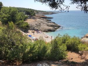 a group of people on a beach near the water at Petit Nid Pieds dans l'eau in Sausset-les-Pins