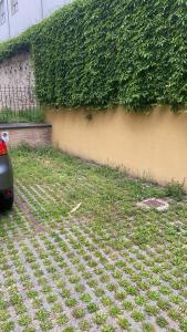 Un coche aparcado junto a una pared cubierta de hiedra en Casa Fabrizio - Nice Suite con parcheggio su richiesta, en Parma