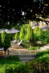 Κήπος έξω από το Hotel Chero