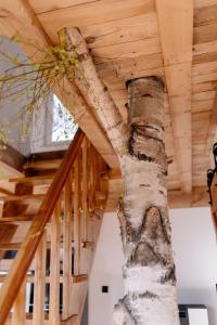 Gallery image of Watrosówka in Pasym +34 photos