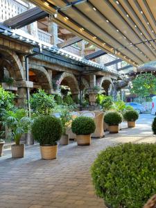 Κήπος έξω από το Hotel Chero