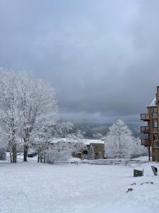 a snow covered field with trees and a building at Sugar Ski & Country Club in Sugar Mountain