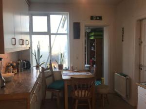 Kuchyň nebo kuchyňský kout v ubytování Angelica Guesthouse