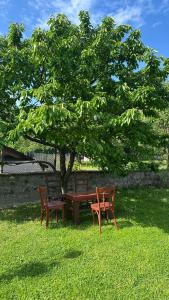 a picnic table and two chairs under a tree at Casa Astoria in Băile Herculane