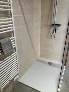 a bathroom with a shower with a glass door at Le Petit Fabre in La Roche-sur-Yon +5 photos